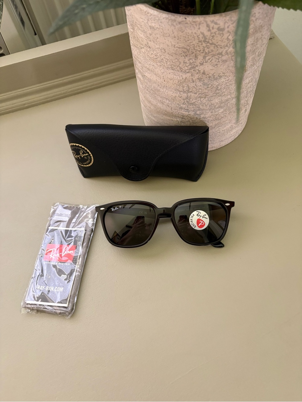 Ray-Ban Men's Sunglasses in Black with Dark Lenses